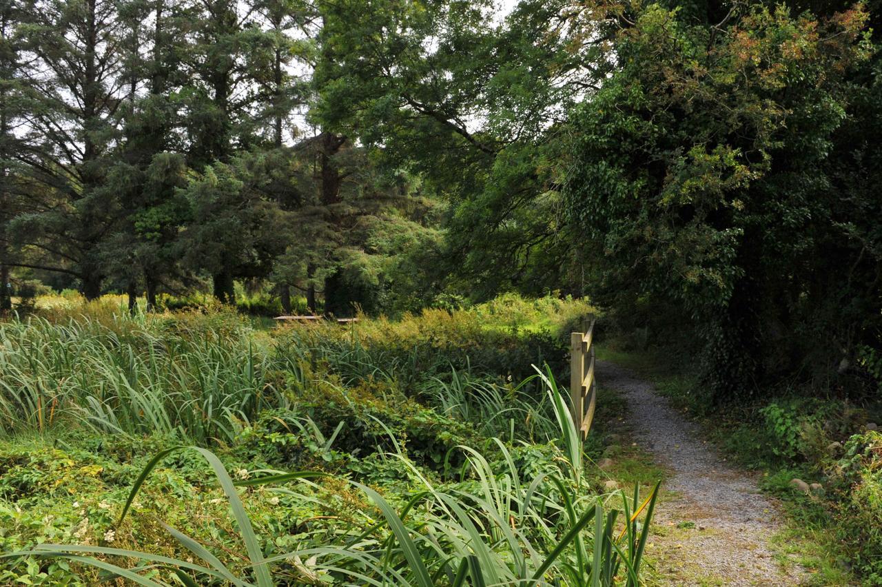 Killarney Glamping At The Grove, Suites And Lodges Exterior photo