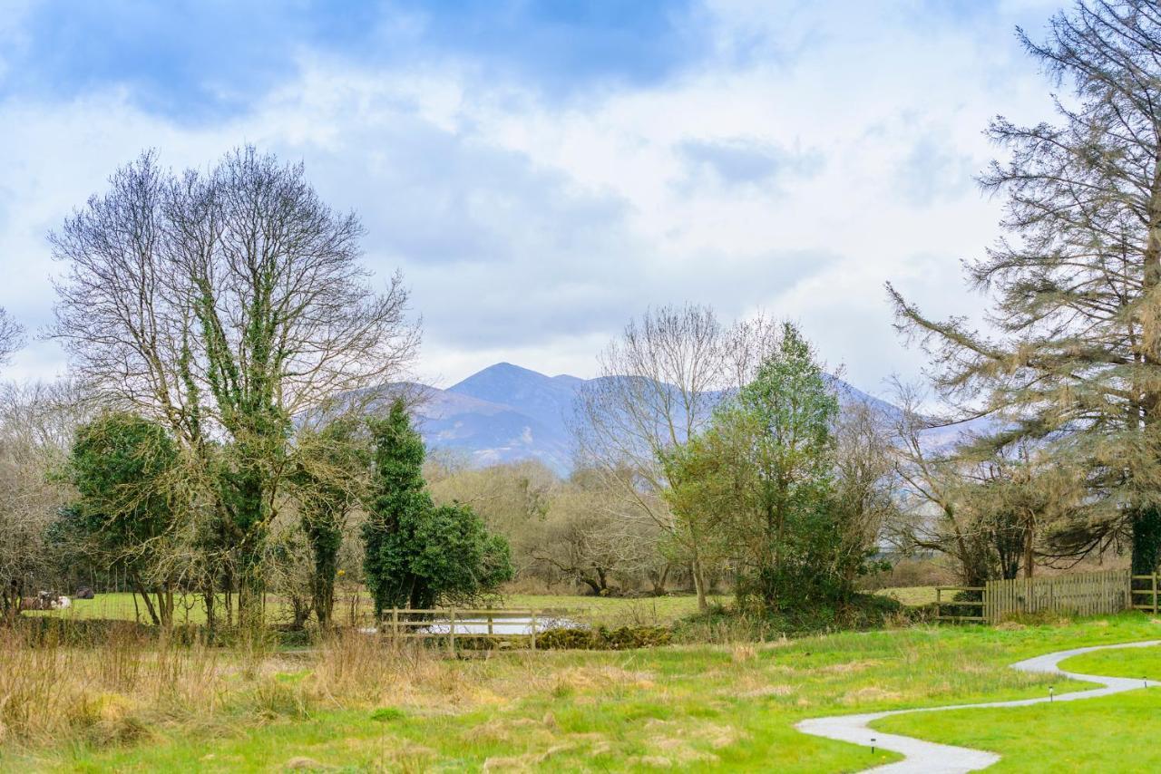 Killarney Glamping At The Grove, Suites And Lodges Exterior photo