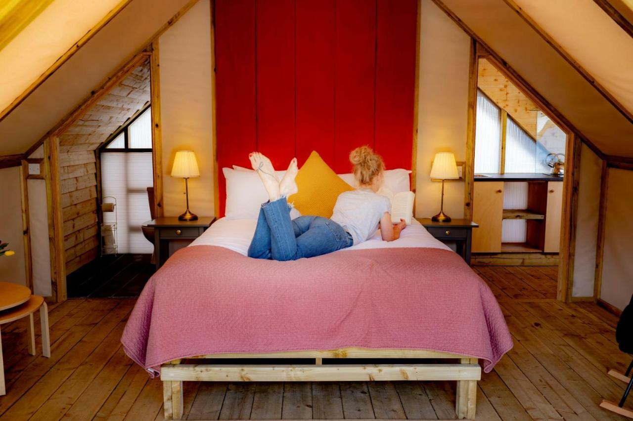 Killarney Glamping At The Grove, Suites And Lodges Exterior photo